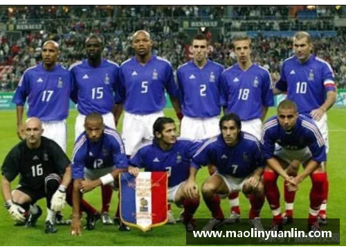 2002年意大利球员的国际影响与足球历史地位