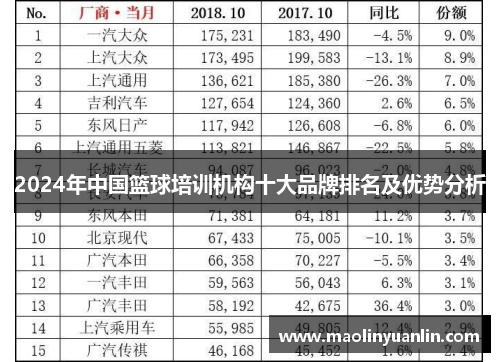 2024年中国篮球培训机构十大品牌排名及优势分析